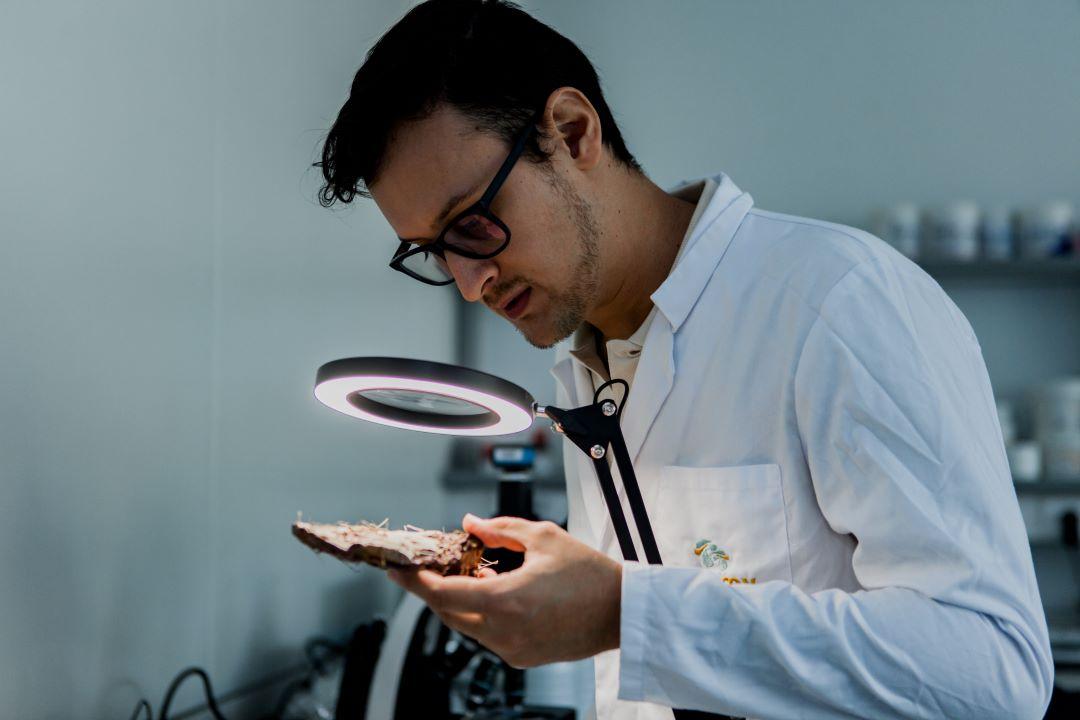 Imagen cortesía de Innomy Labs